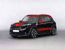 Mini  Countryman